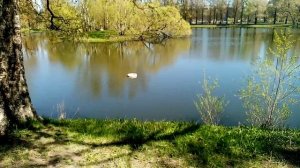 Санкт-Петербург 12 мая