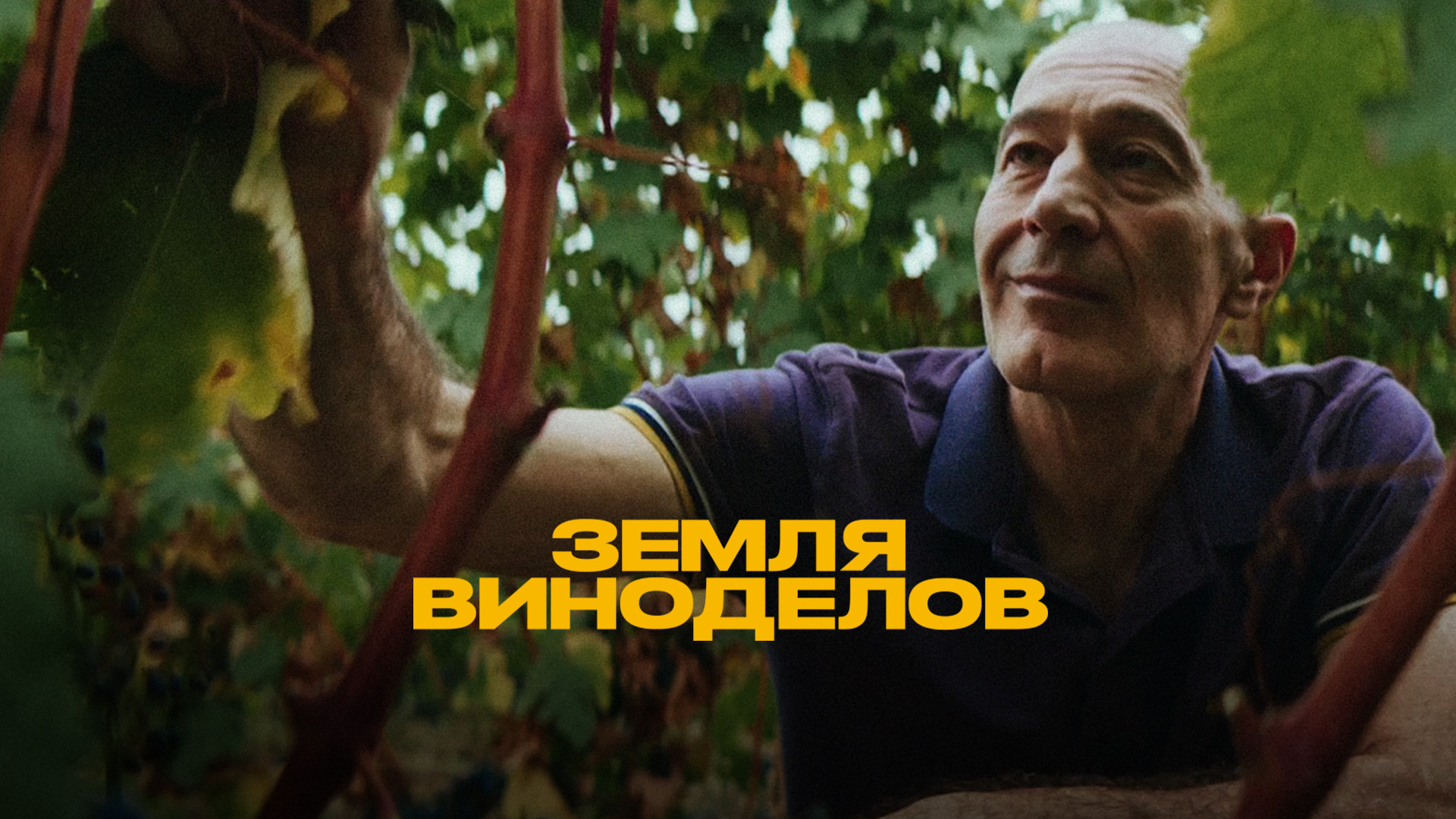 Земля виноделов, 1 сезон, 4 выпуск