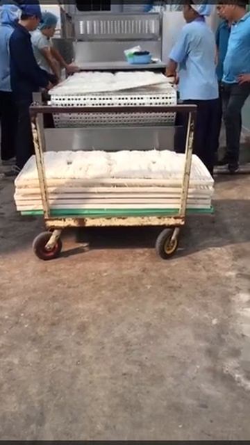 Сушильный агрегат на основе СВЧ (Китай) 3 смотреть онлайн