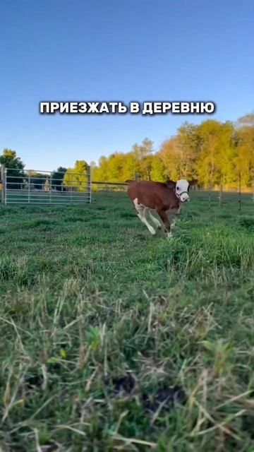 А для вас? Делитесь в комментариях 🥹 #хранение #уют #ozon