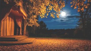 Гостья ночь.