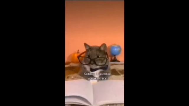 ЕСЛИ БЫ КОТИКИ ХОДИЛИ В ШКОЛУ (ОБРАТН. ПЕРЕМОТКА) ИДЕЯ ? смотреть онлайн