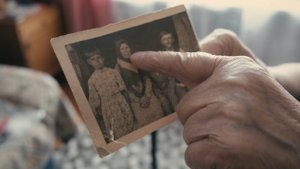 Война забрала родных