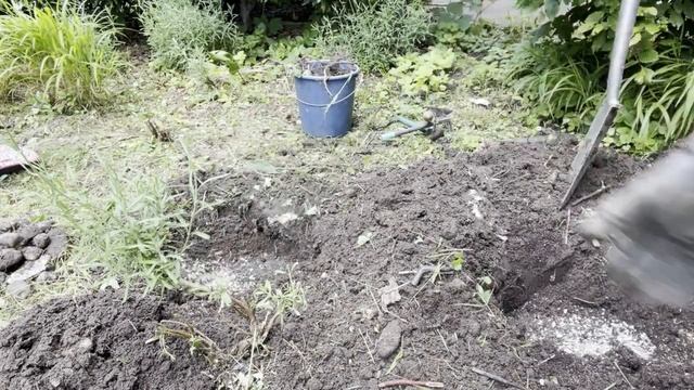 👩🌾Дача в Германии. 2 сотки превращаем в рай. Начало