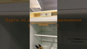 Холодильник Индезит ноуфрост  не включается ! Почему ?