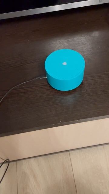 Алиса сдохла@vantusmen45@arsenuss смотреть онлайн