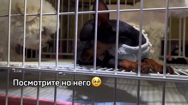 Какая зима в Китае? | Едим Хого | Странные вопросы от ки?