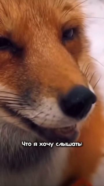 Именно😅#мама #мамавдекрете #сын #мамасына #муж #мужиже