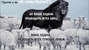 Призыв к брифингу и деятельности. Представился народу. Мужское движение МД.
