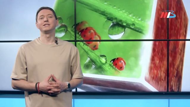 Что категорически нельзя делать 13 мая, чтобы беды обошли дом стороной