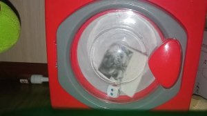 стиральная машина Samsung эксперимент | 01.02.2025 | тётя мотя ?