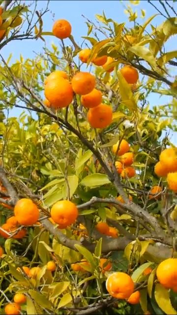 Начните утро с заботы о себе! смотреть онлайн