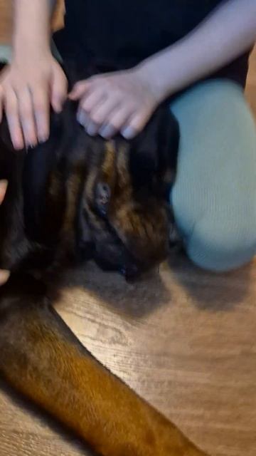 Алиса и Феня Февраль 2025г смотреть онлайн