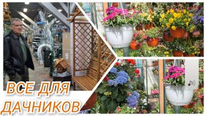 Холодный дождь.Планы на посадки рухнули.Едем в город