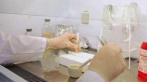 В 2025 году  196 человек обратились за медицинской помощью после укусов клещей на Смоленщине