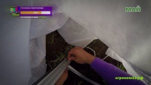 Дачный сезон глазами садовода