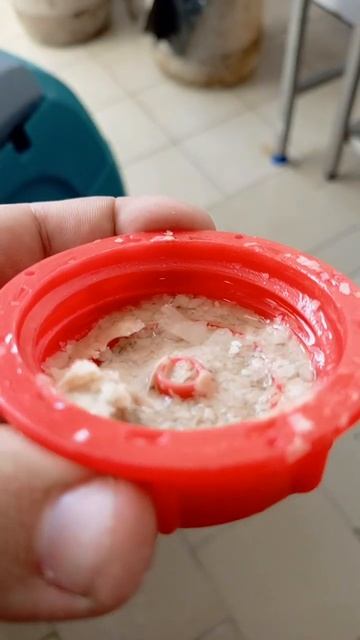 ремонт поломоечной машины vinnermyer s460 не подает воду(2) смотреть онлайн