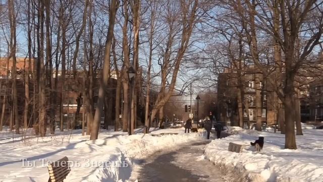11 Февраля Лаврентьев день или Битьё морозное. Почему н