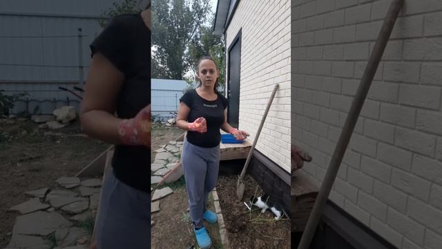 Как посадить розу осенью. Стоит ли добавлять удобрени?
