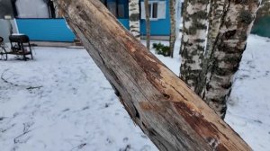 I.Z. лив: БОРТИРУЮ КОЛЕСО, ДАЧА, ВЕСНА?