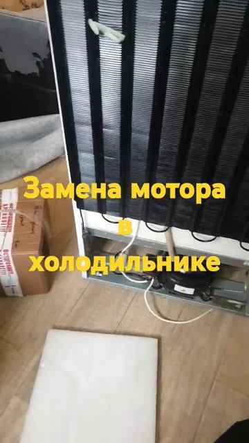 ремонт холодильника в Ярославле смотреть онлайн