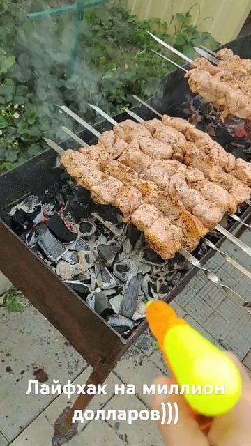 Приготовление шашлыка. Весело и играючи!) смотреть онлайн