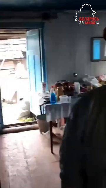 Беларуска показала олдскульную кухонную вытяжку. #бел смотреть онлайн