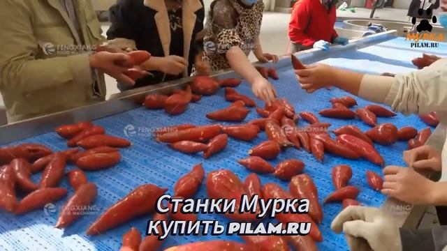 Мурка Машина для мытья овощей и фруктов WA-3000 цена на pil смотреть онлайн