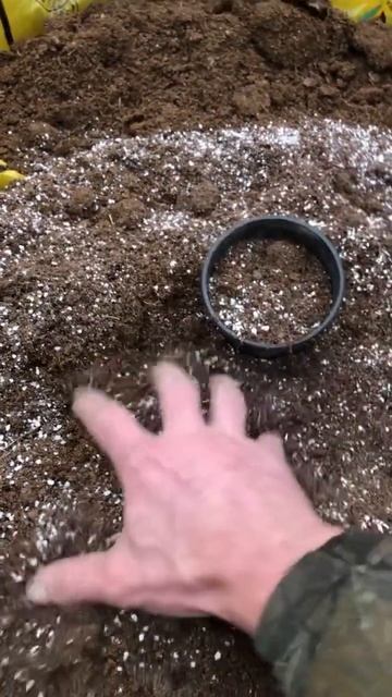 Хороший ґрунт,якісна розсада. #розсада #квіти #trend #shorts # смотреть онлайн