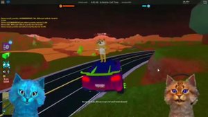 КОТИК ИГРОМАН И КОТЁНОК ЛАЙК//СМЕШНЫЕ МОМЕНТЫ #3