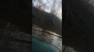 Штоб не было скучно
