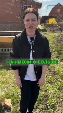 Необычные и яркие сорта тыкв