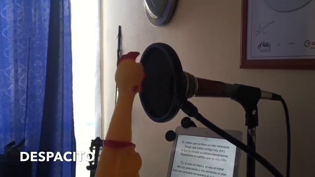 Despacito курица: chiken-версия прикольная пародия смотреть онлайн