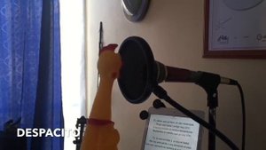 Despacito курица: chiken-версия прикольная пародия