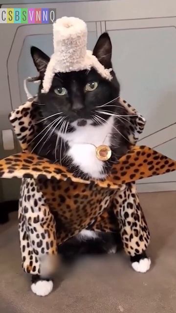 Новый вариант фильма «пятый элемент» #новости #юмор #csb смотреть онлайн