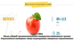 14 неделя беременности