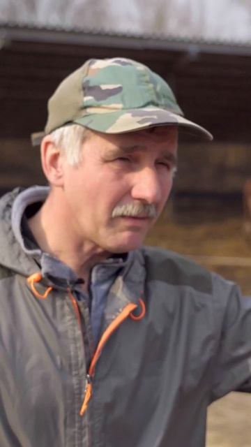 Ни грамма комбикорма! #животноводство #герефорд #ферме смотреть онлайн