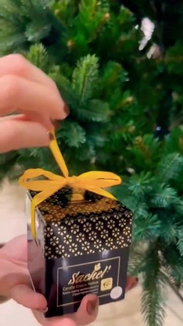 Невероятный подарок к Новому Году!!) #новыйгод #подарок смотреть онлайн