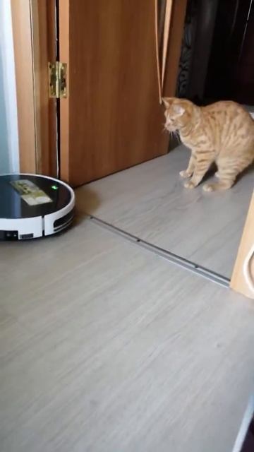 Отправить смотреть онлайн