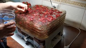 Сушка Клубники в Электрической духовке|Кухня|💕#Сердц