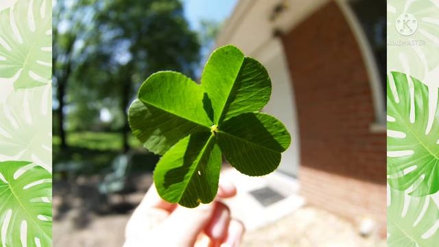 Обряд на удачу. Онлайн Ритуал смотреть онлайн