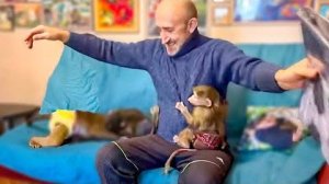 Люська- ШАЛЬНАЯ ИМПЕРАТРИЦА! Как Люська и Степка вешали новые занавески