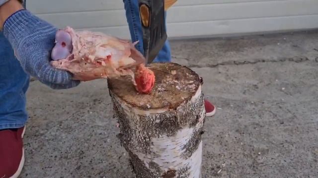 Тест походного топора🔥 смотреть онлайн