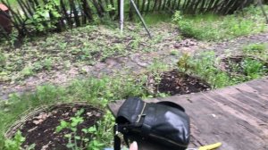 Намечаю себе план работ на участке. Перебираю семена