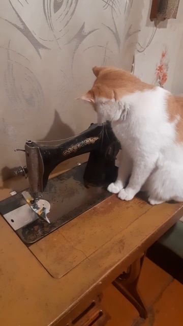 Наладчик швейных машин