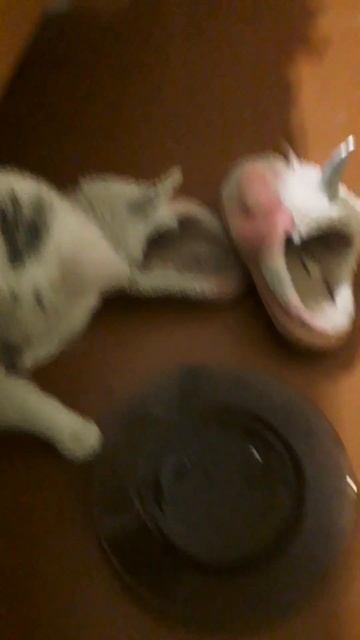 домашняя посудомойка смотреть онлайн