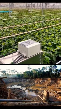 🌱 Биткоин Майнинг vs. Добыча Золота ⛏️