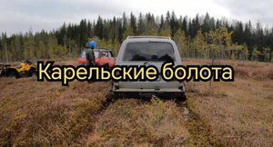 Toyota Land Cruiser 80 & нивы. Через торфяные лужи к ковровым болотам. Offroad