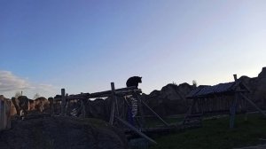 Медведь большой оригинал