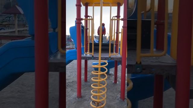 На игровой площадке#тренды #подпишись #рекомендации #baby #кослайк #blogger #qoslike #shorts #2023 смотреть онлайн